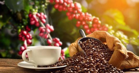 Những lợi ích của việc uống cà phê mỗi ngày